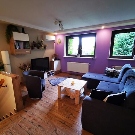 Apartament Aldi Бельско-Бяла Экстерьер фото