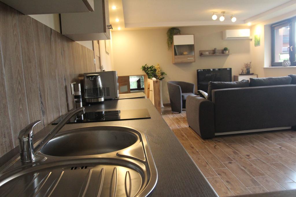 Apartament Aldi Бельско-Бяла Экстерьер фото